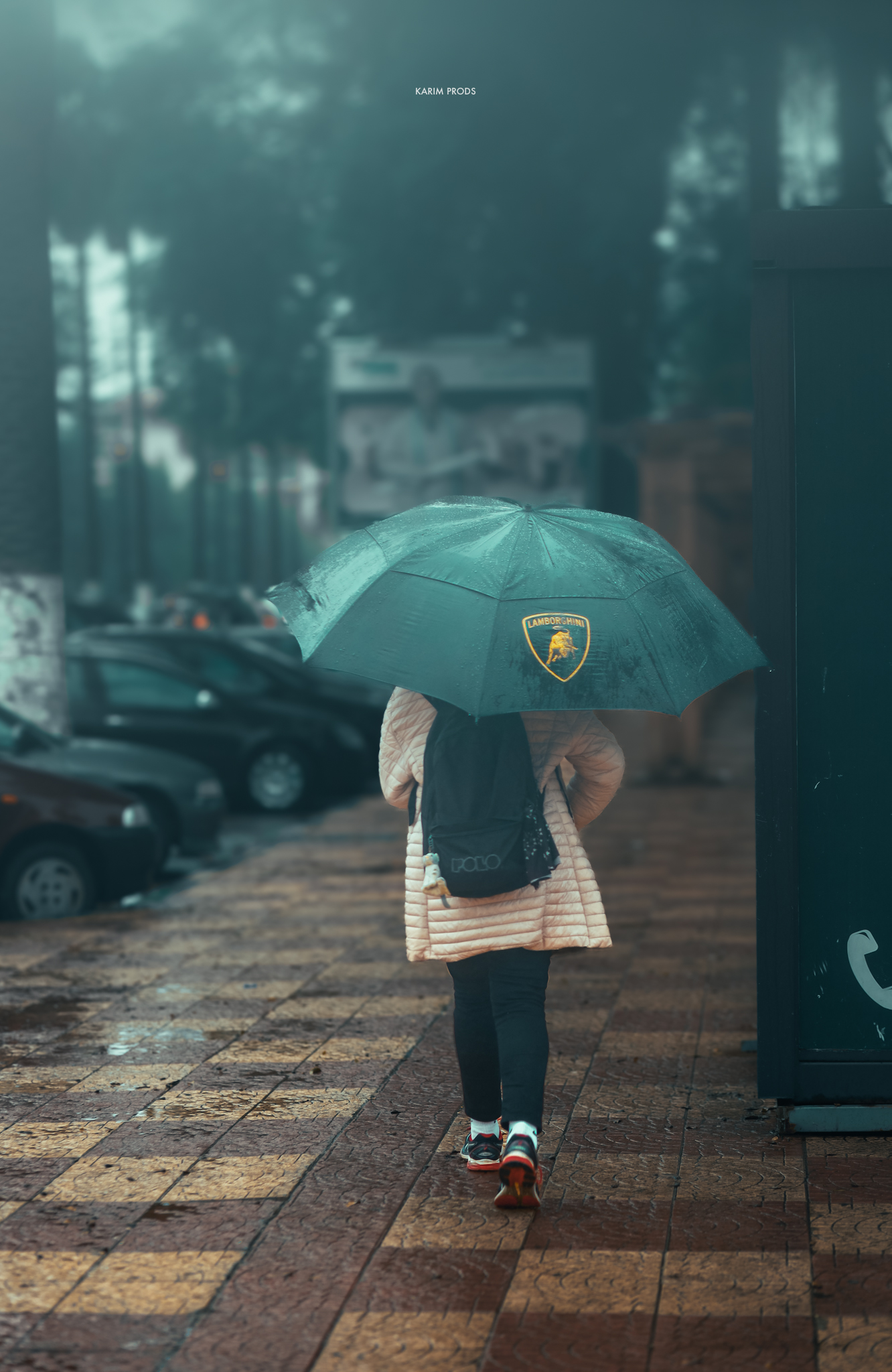 Portfolio Image